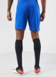 Nike Chelsea Fc Dri-Fit Shorts (1)